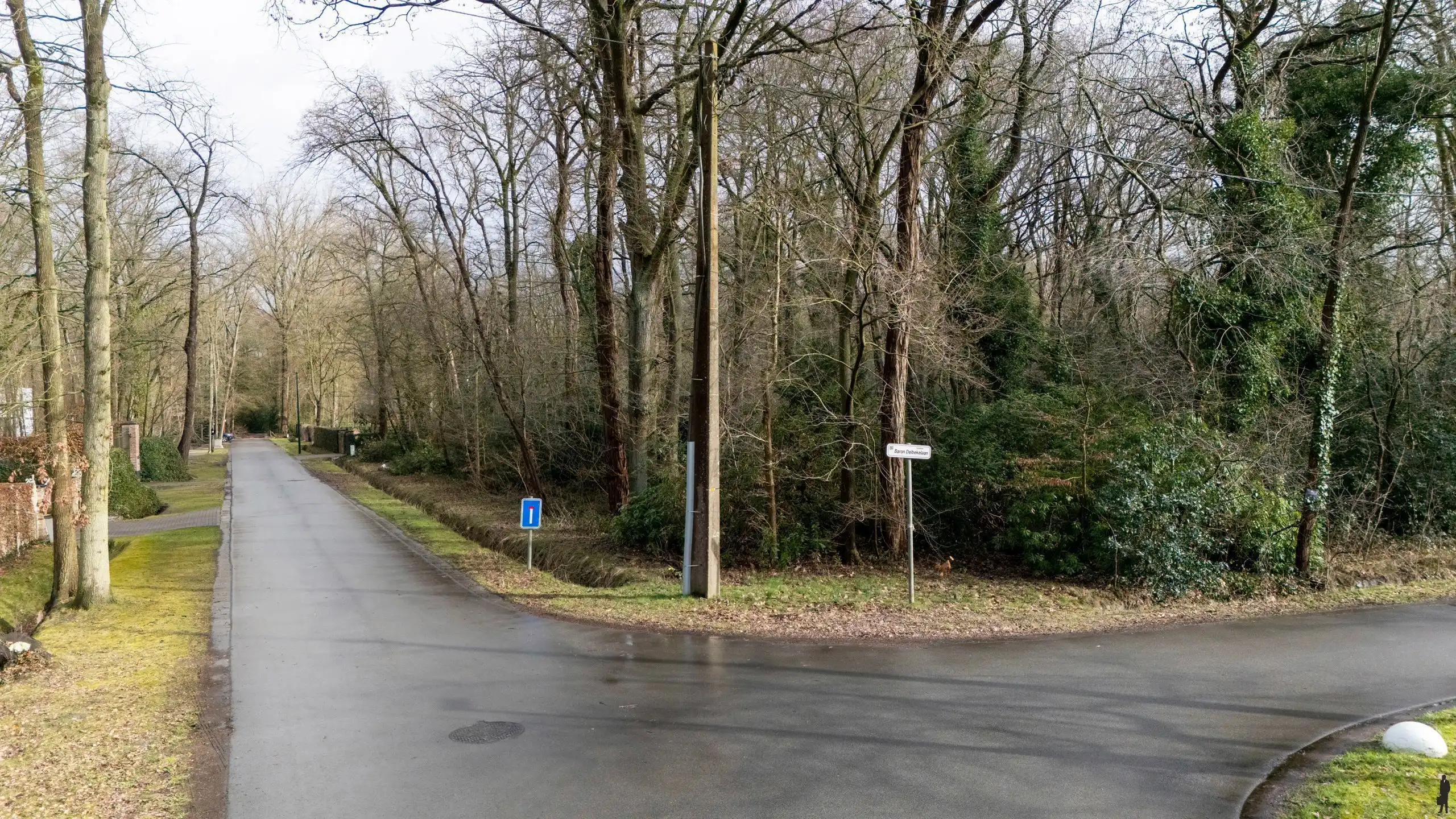 Hoekperceel van ca. 2.029 m² in rustige, groene ligging! foto 12