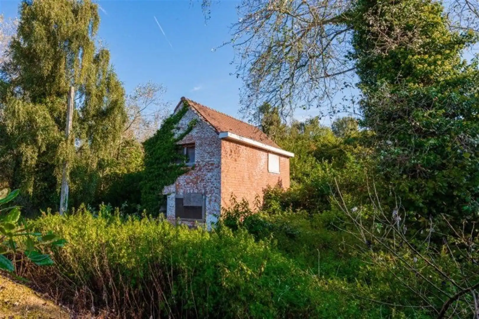 Hoofdfoto van de publicatie: Huis