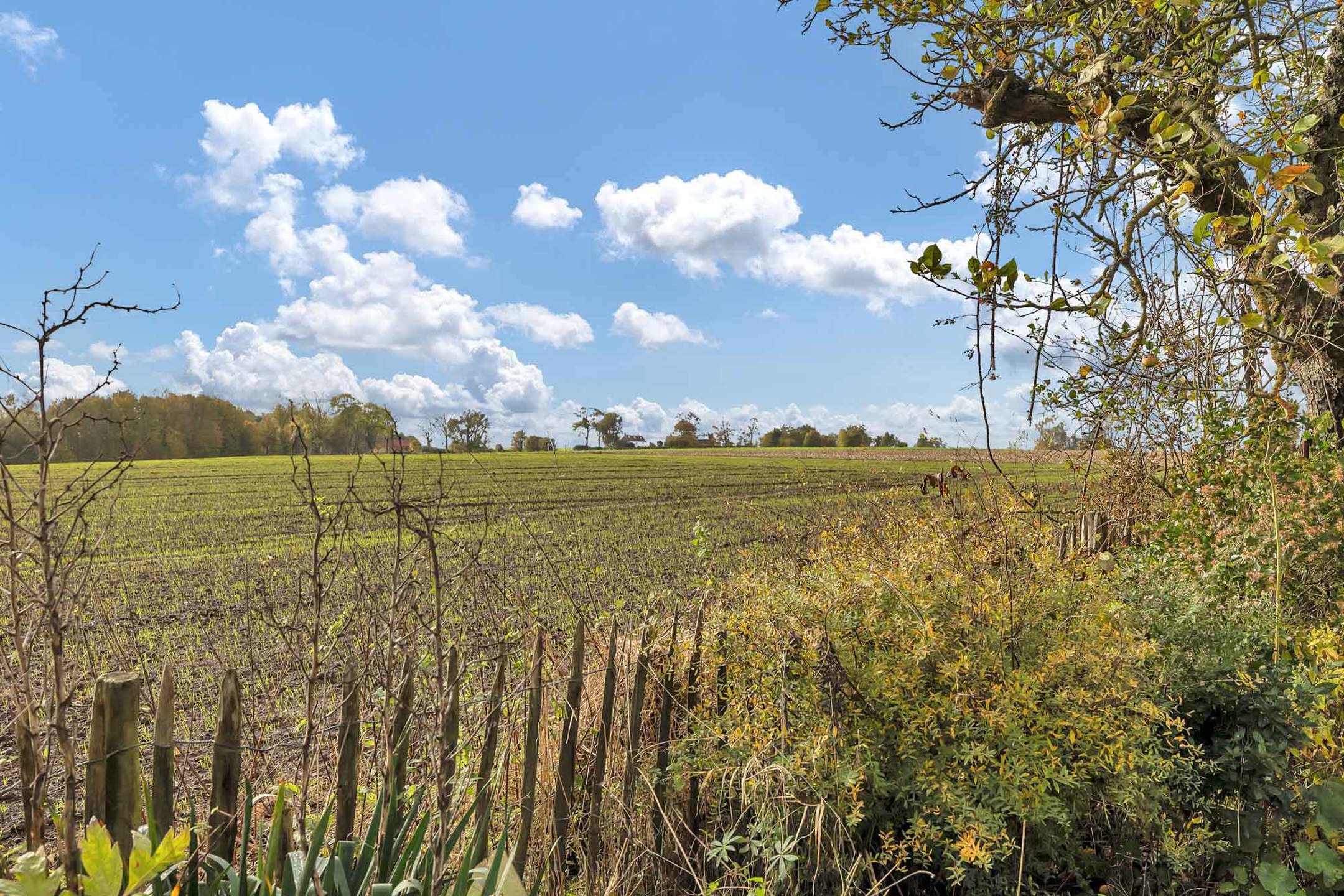 Fantastisch gerenoveerde hoeve met binnenzwembad foto 38