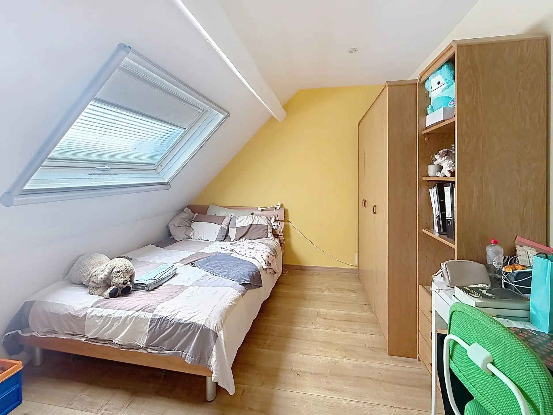 Huis te koop foto 11