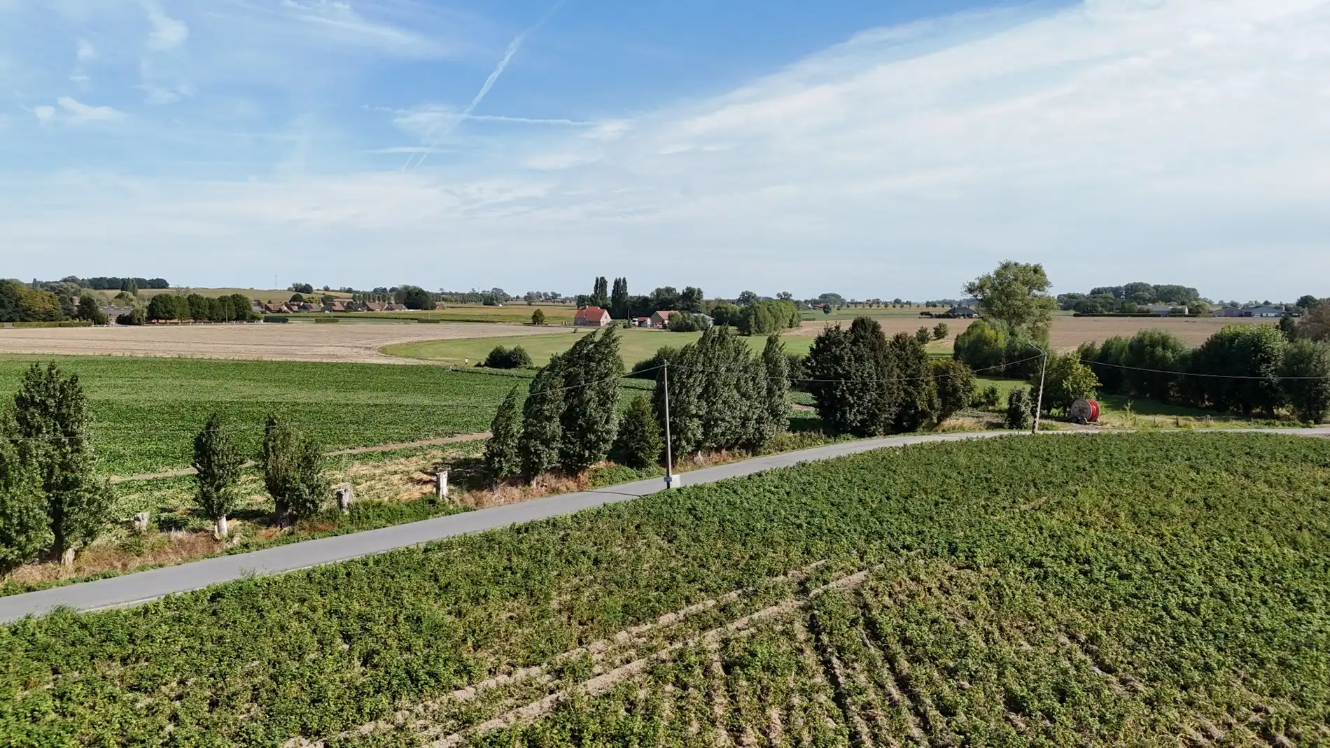 Landbouwgrond te koop van 2,88 ha te Koekelare Vrij van pacht na seizoen foto 9