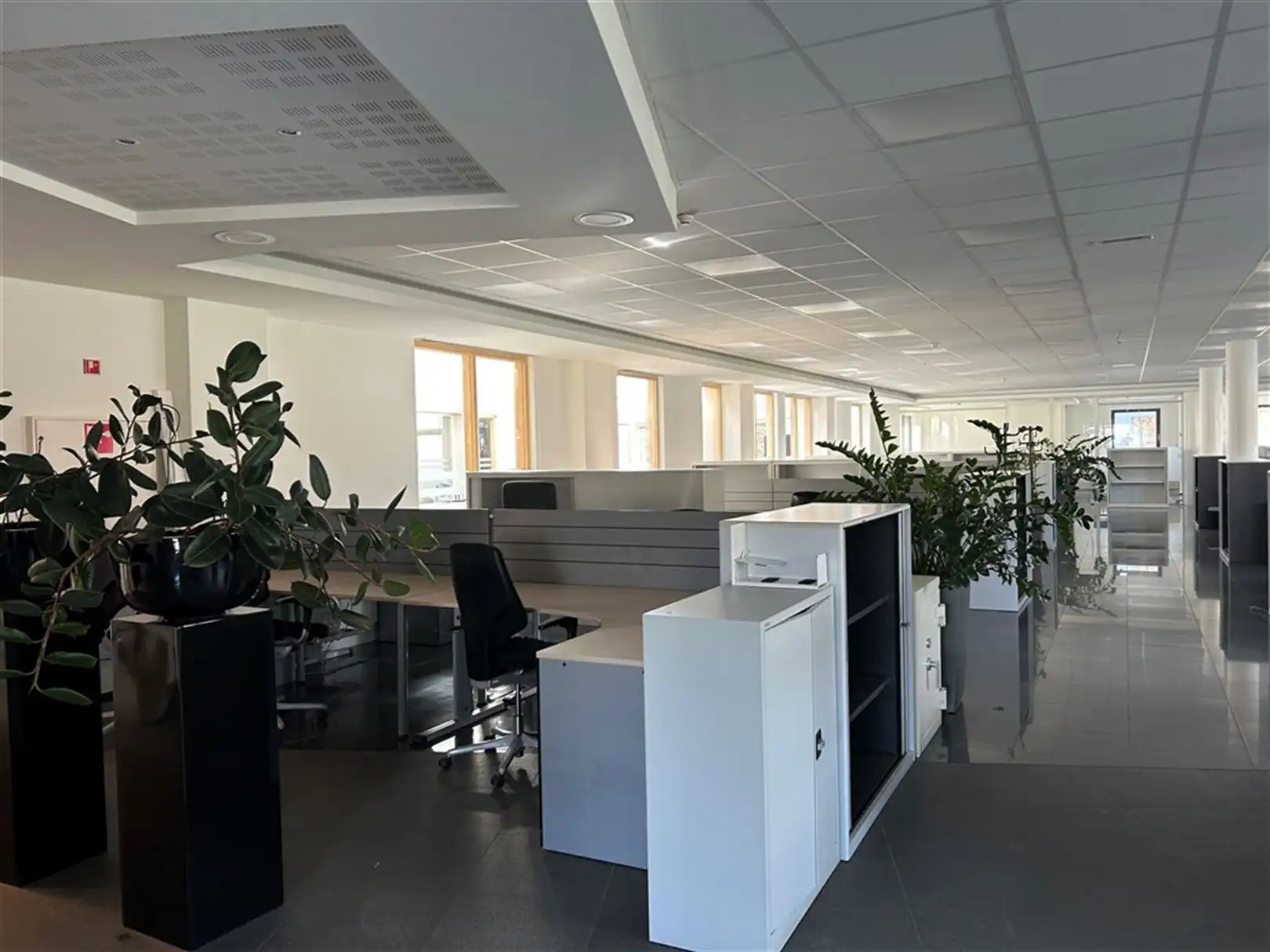 Kantoor te huur in Lummen met goede verbinding, vlakbij het Klaverblad foto 10