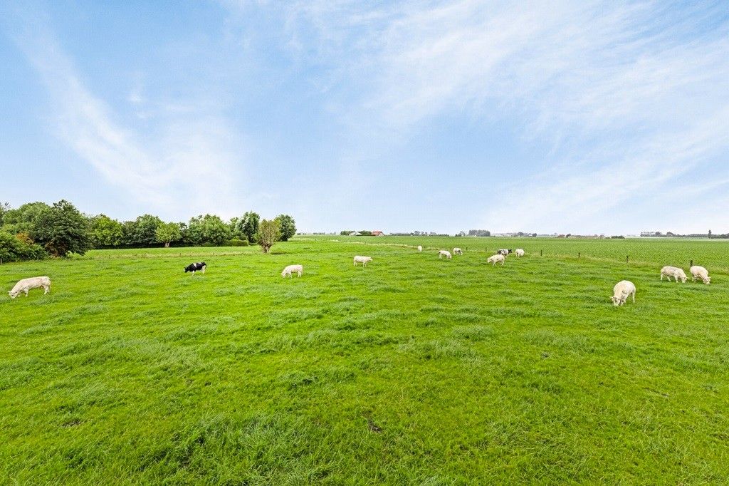 ALVERINGEM: Voormalige herberg "De Rustplaats" waar grazende koeien Uw dichtste buur zijn in een weids en open landschap op 1.000m² grondoppervlakte foto 19