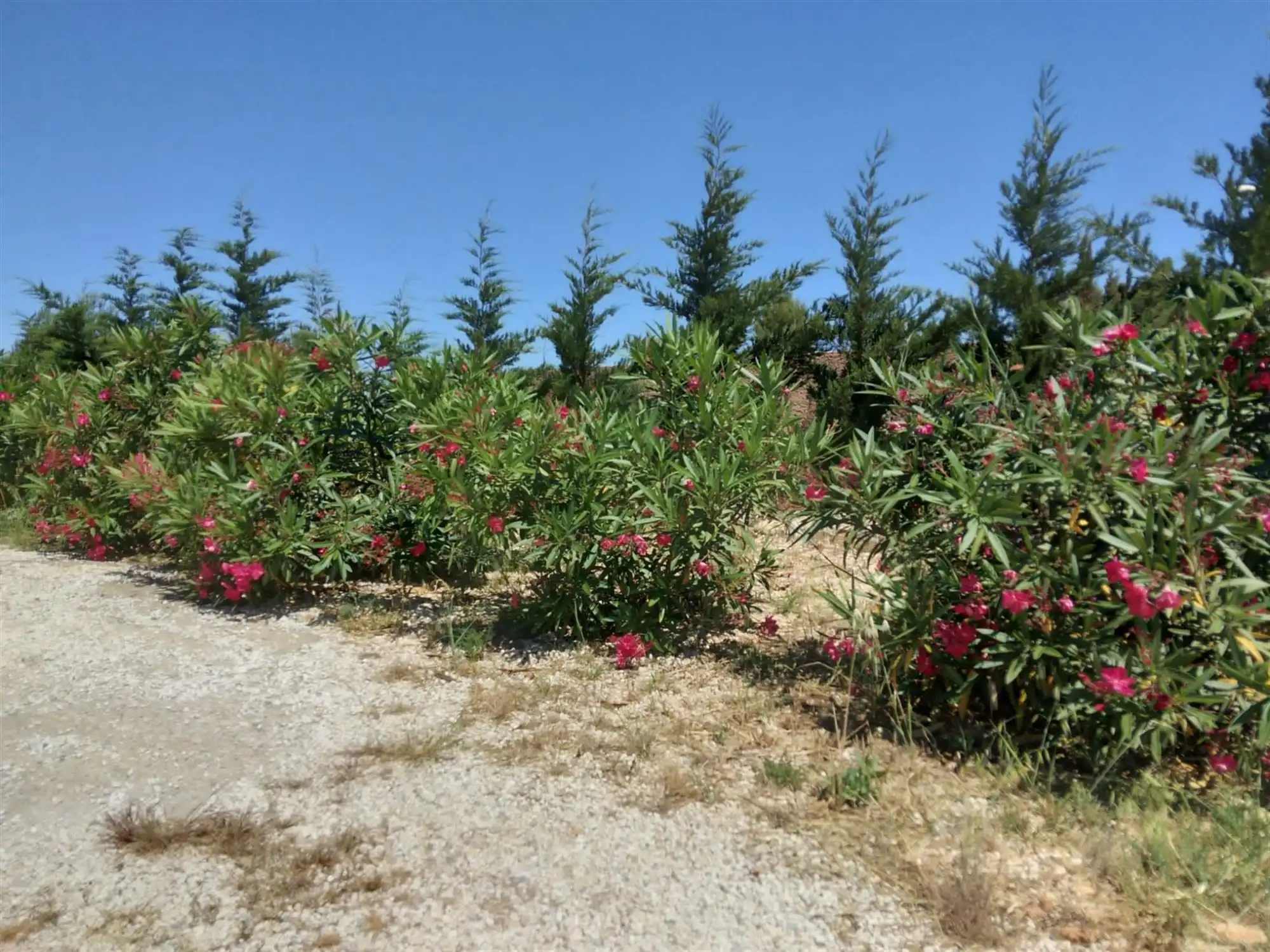 Villa met 4 slaapkamers - tussen Perpignan en Narbonne foto 11