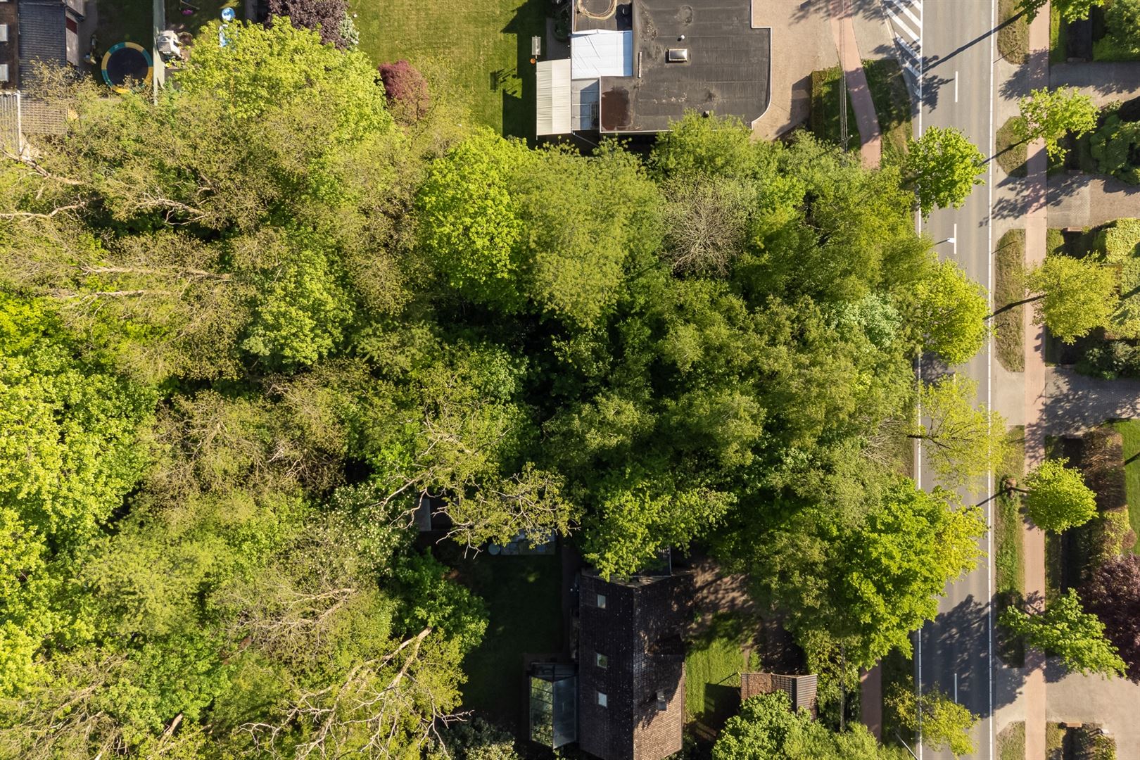 Residentiële bouwgrond voor open bebouwing foto 3