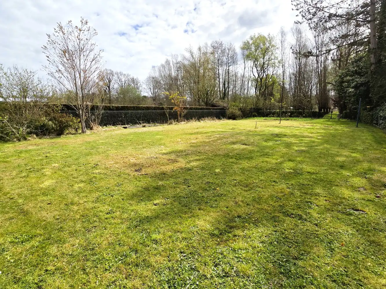 Ruime woning met 3 ruime slaapkamers en bureau, grote zolder en achterliggend weiland foto 2