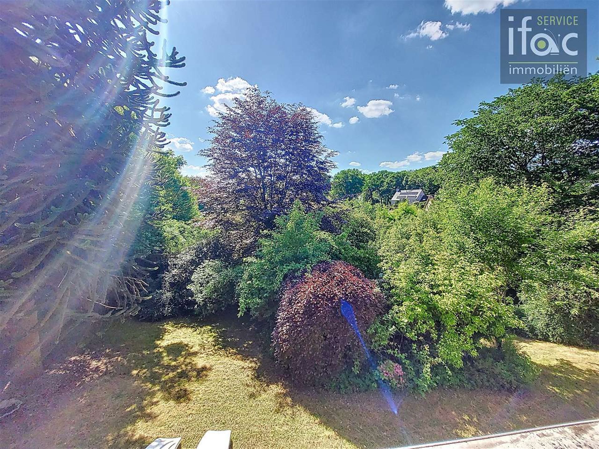 Zonovergoten te renoveren villa nabij Zoniënwoud foto 24