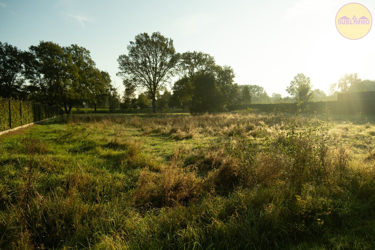 BOUWGROND - 10a07ca - OPEN BEBOUWING - MEERHOUT foto 3