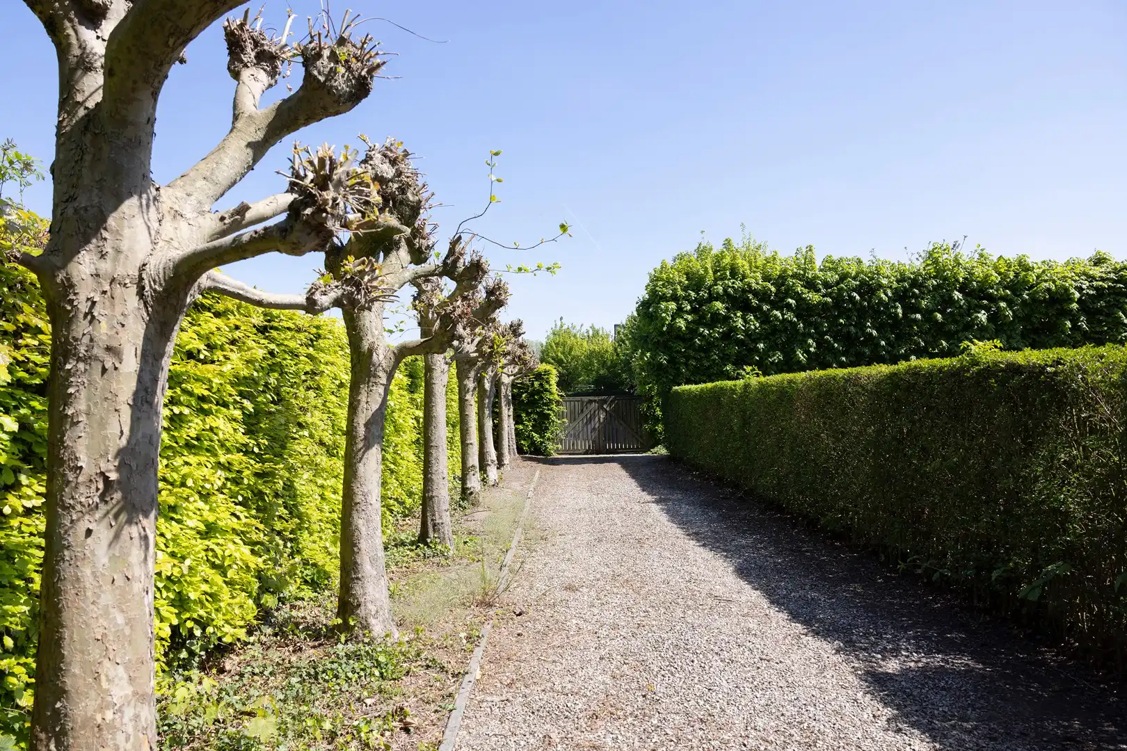 Rustig en residentieel gelegen perceel bouwgrond. foto 3