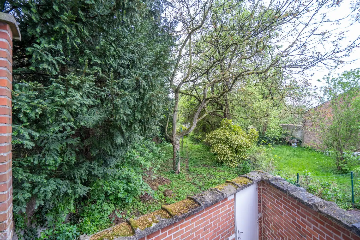 GUL IN BISSEGEM foto 16