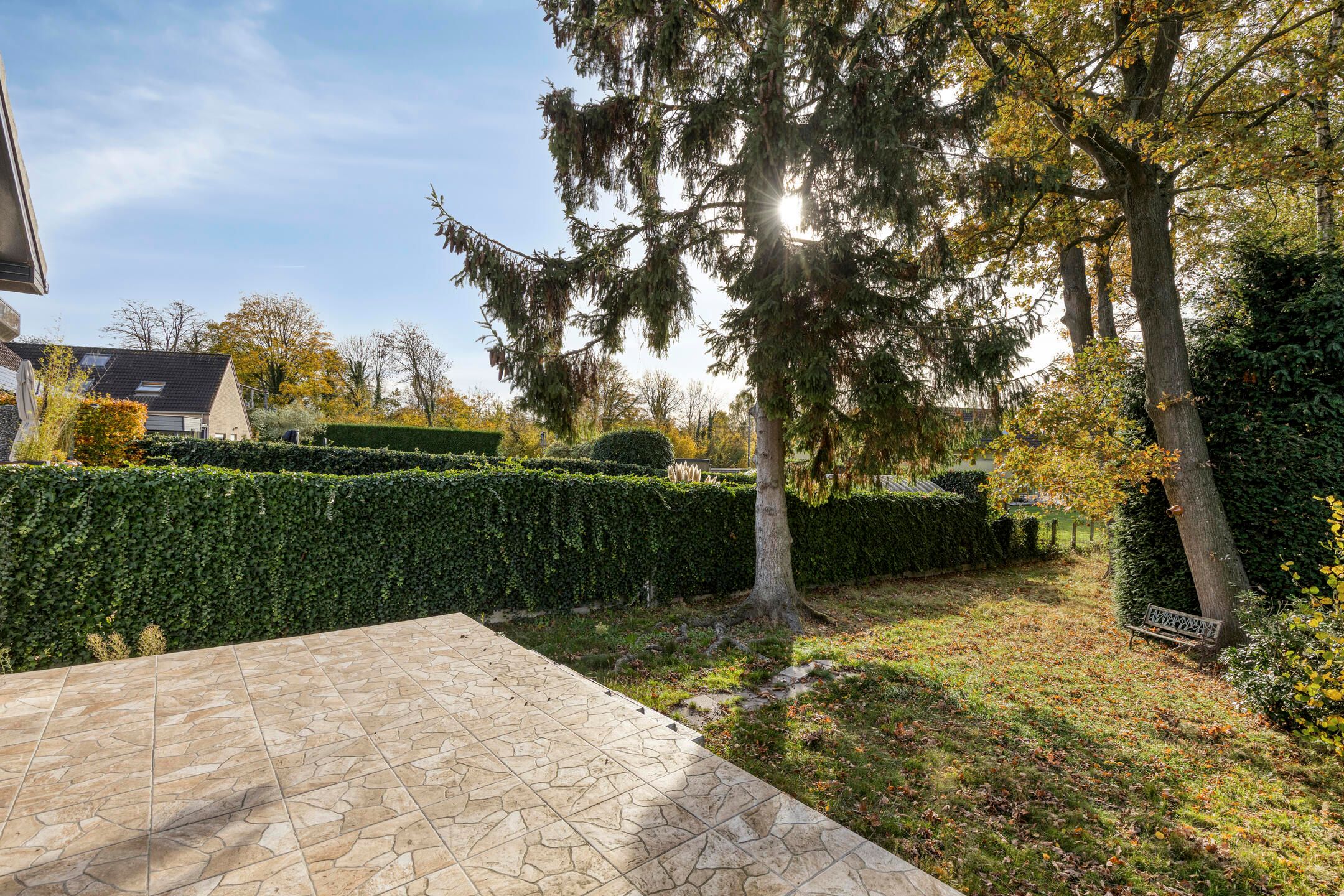 🏡 Charmante bungalow op uitzonderlijke locatie foto 10