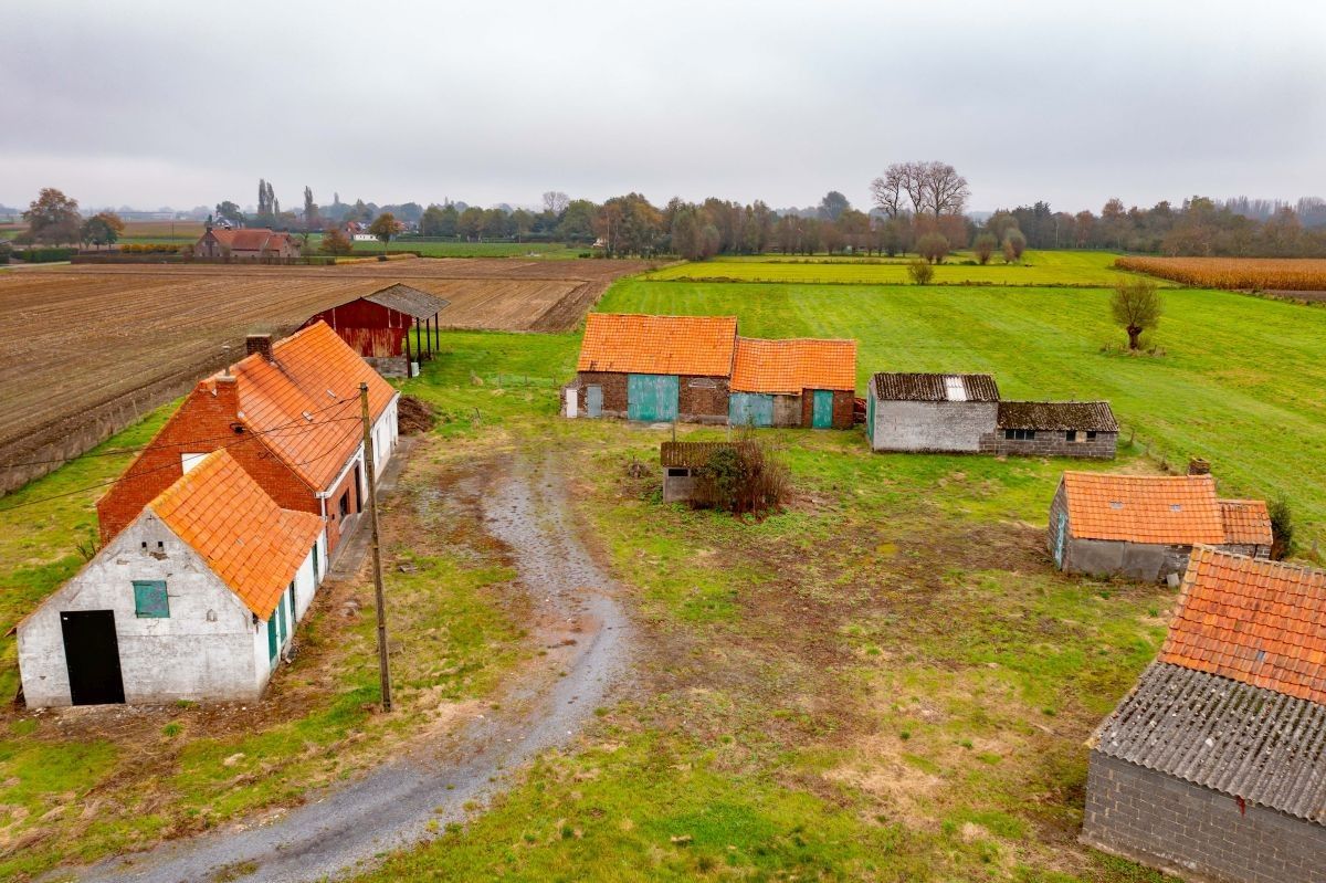 Hoevetje op 2 ha 67 are te koop te Kruisem foto 5