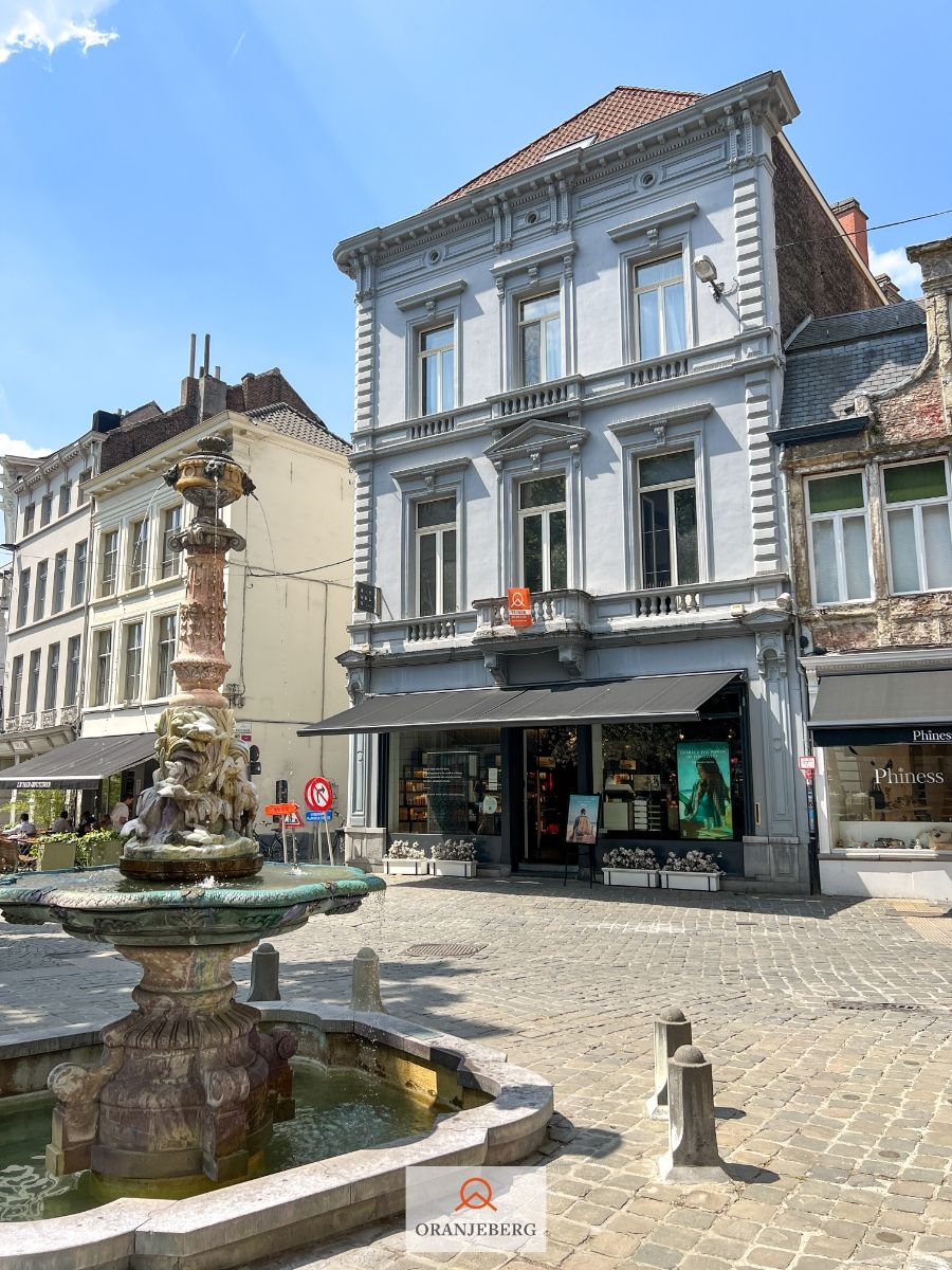 Prachtig appartement in statig gebouw aan de Kalandeberg hartje Gent-centrum foto 4