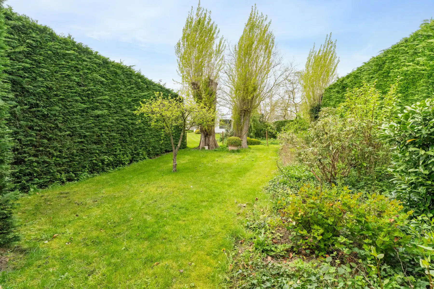 Bouwgrond voor halfopen bebouwing, koppelbouw foto 14