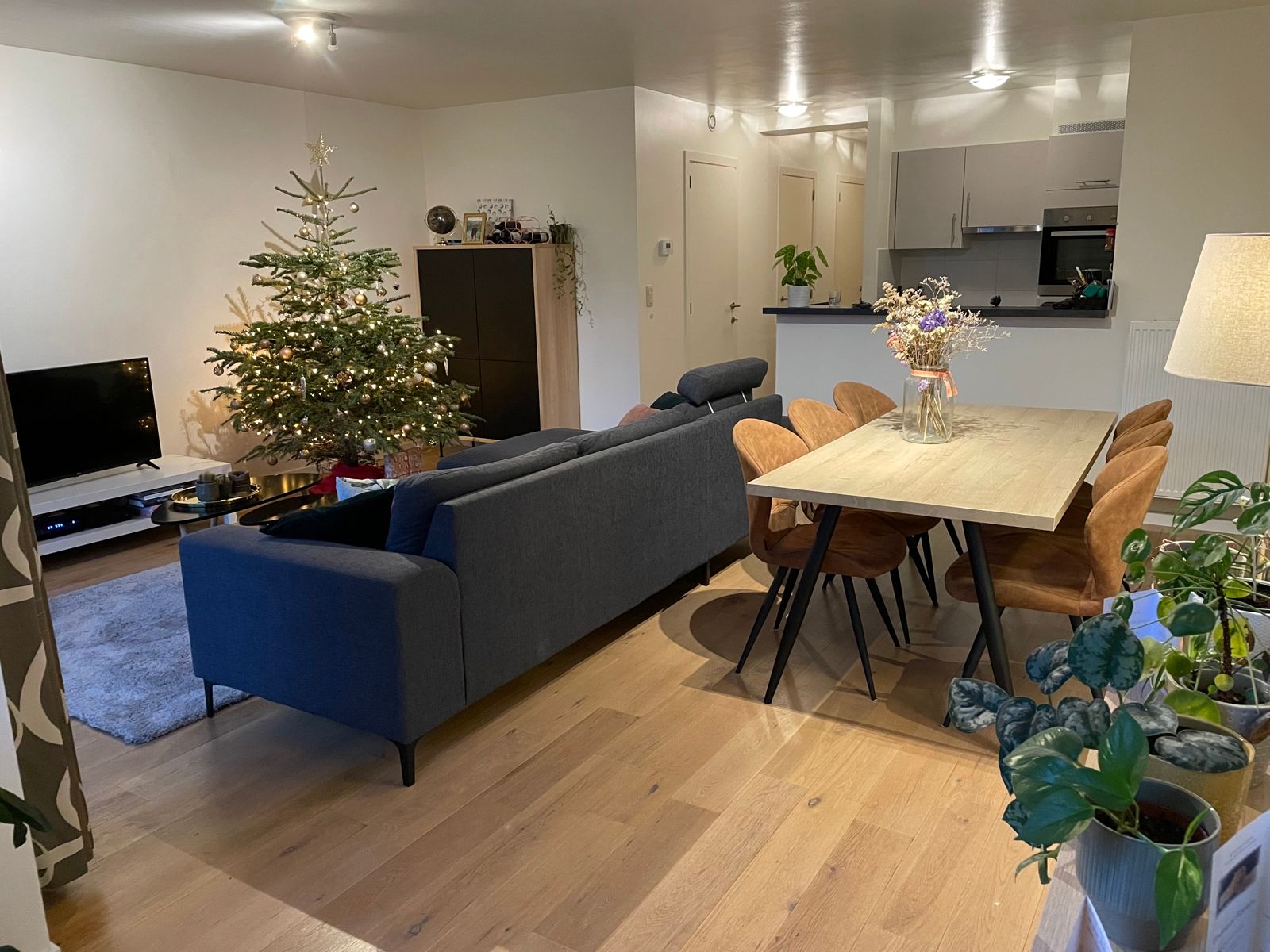 Gelijkvloers appartement met 1 slaapkamer, terras en tuintje foto 2