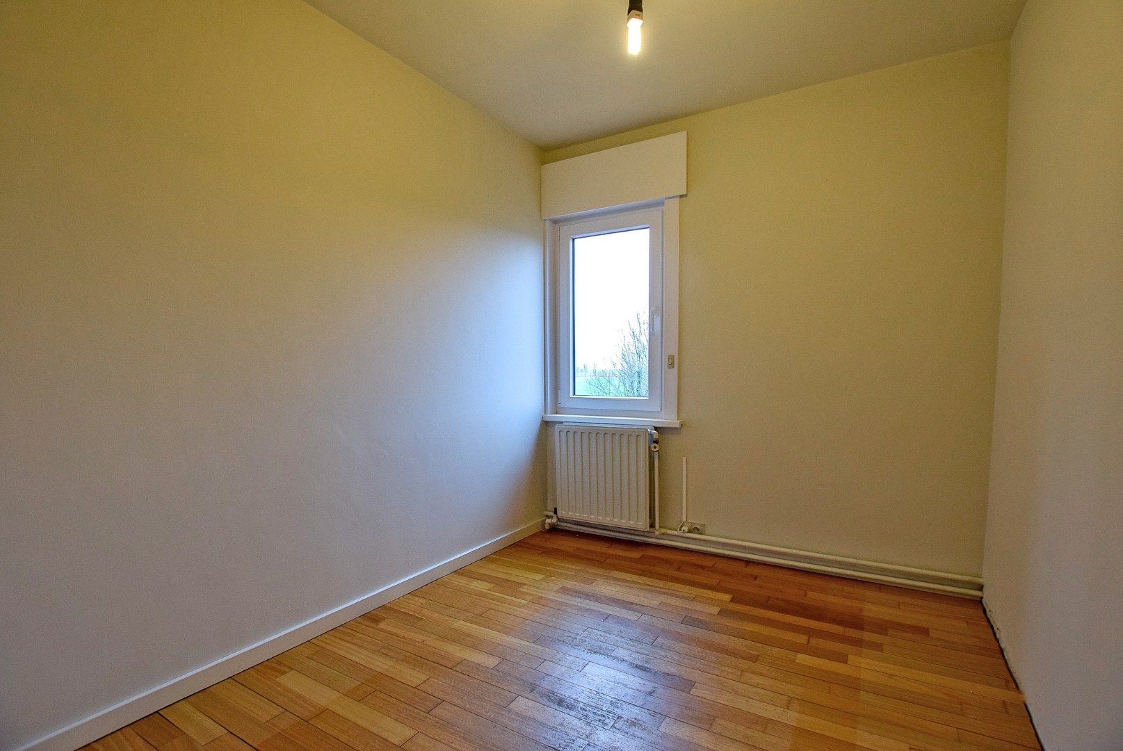 Prachtige open bebouwing met onderhoudsvriendelijke tuin te Oostduinkerke op 642 m².  foto 15