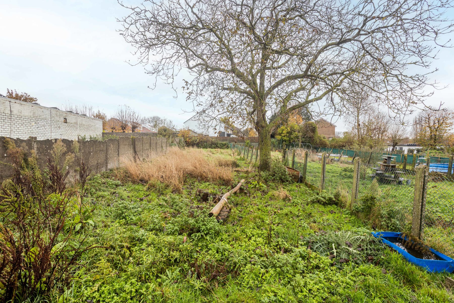 Polyvalente woning met groot magazijn! foto 37