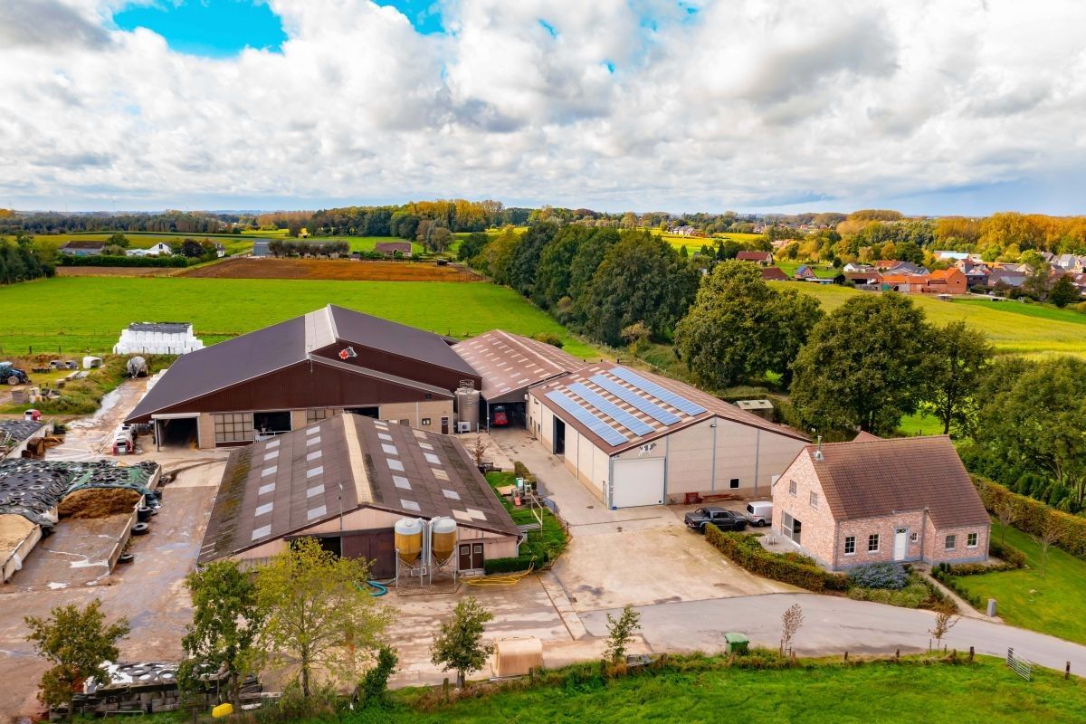 Hoogproductief melkveebedrijf te koop omgeving Aalst met circa 10 ha huiskavel foto {{pictureIndex}}