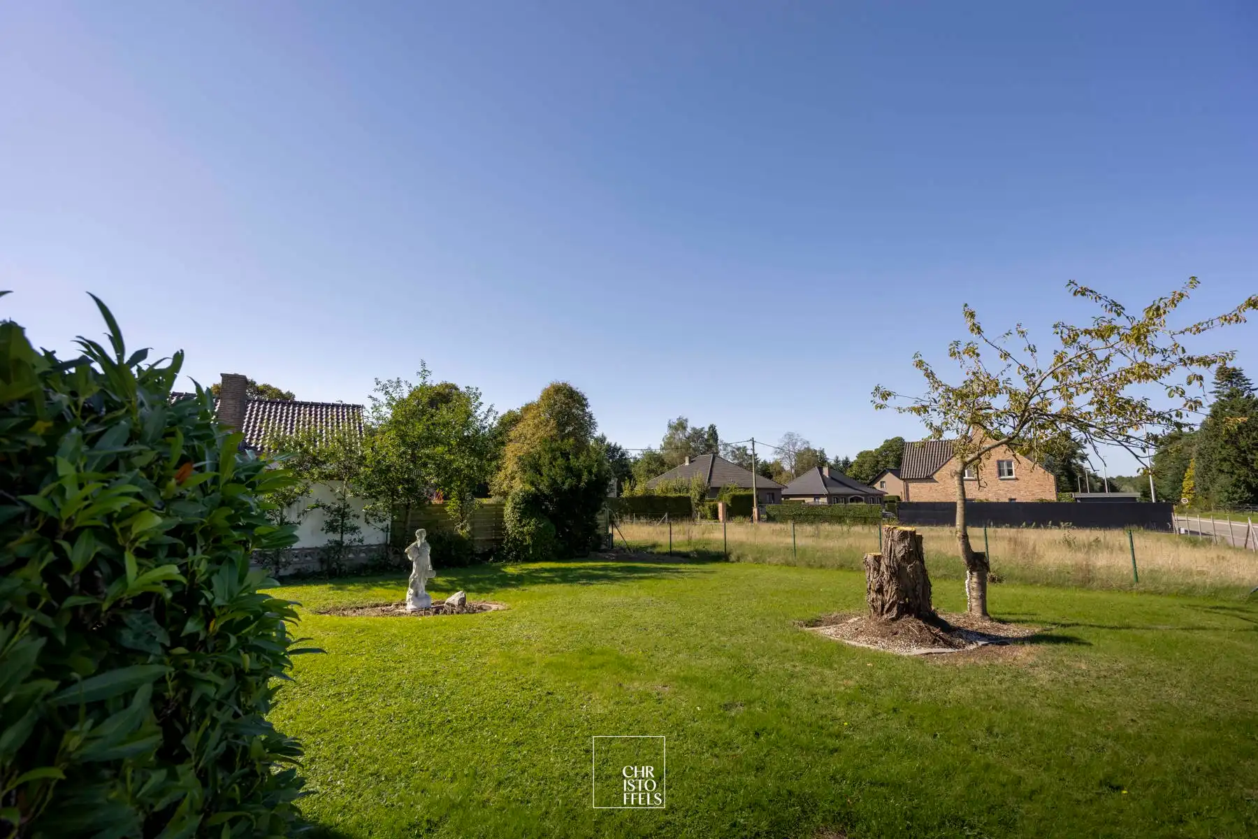 Ruim perceel (1.257 m²) met (ver)bouwpotentieel in het groene Zutendaal! foto 2