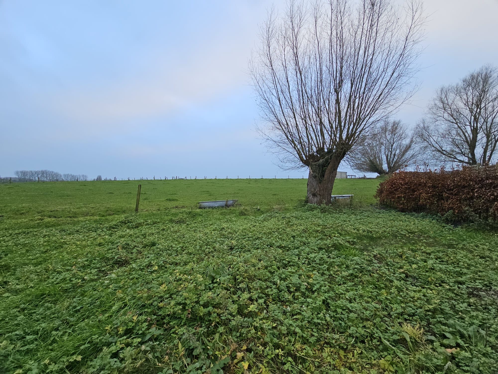 Gezellig gerenoveerde woning op landelijke locatie foto 5