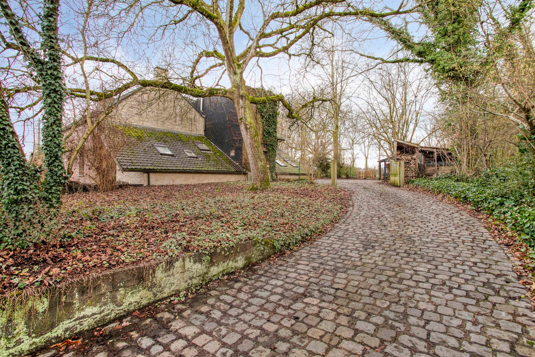 Open bebouwing op 8035 m² met idyllische ligging foto 28