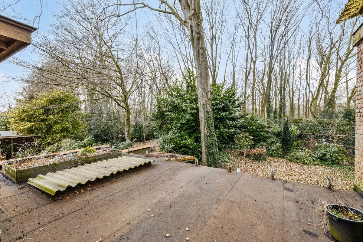 MAGAZIJN/APPARTEMENT/BURELEN en WONING te ASSEBROEK foto 38