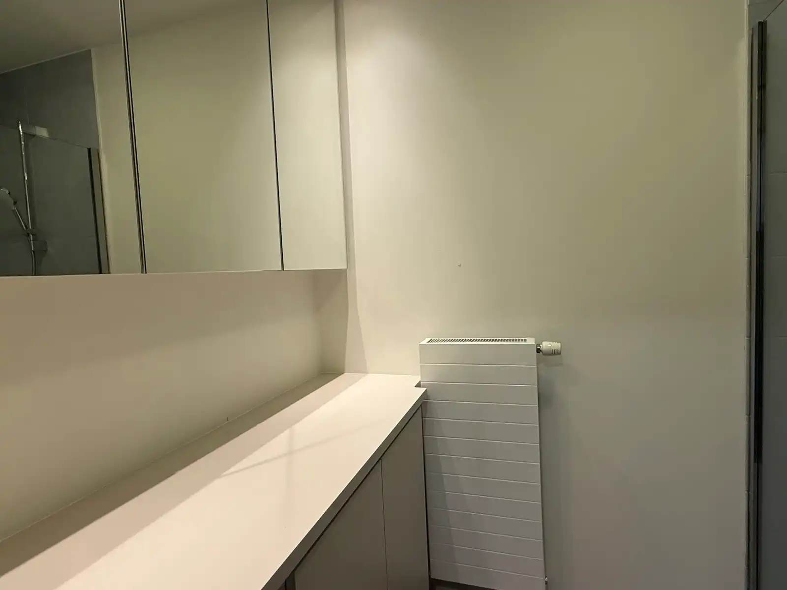  Polyvalente kantoorruimte en 2 appartementen foto 23