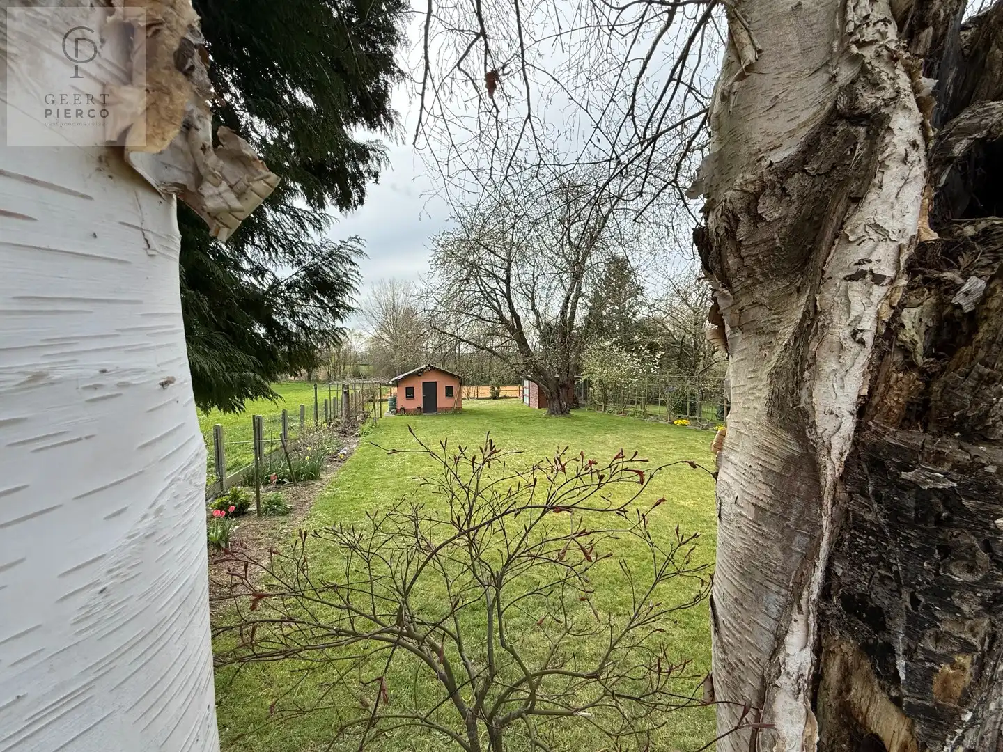 Gezellige bungalow foto 33