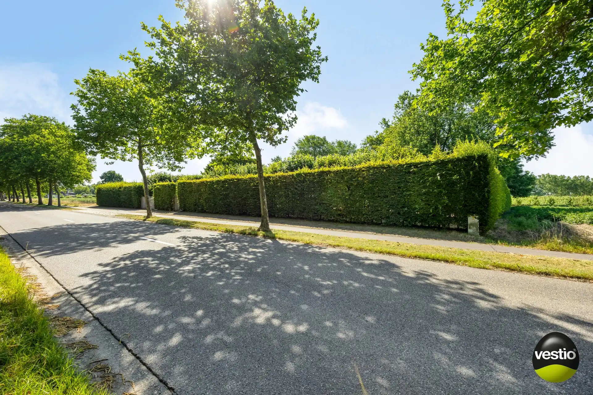 Exclusieve villa in bosrijke omgeving van Hasselt – 5.000 m² privacy en groen foto 5
