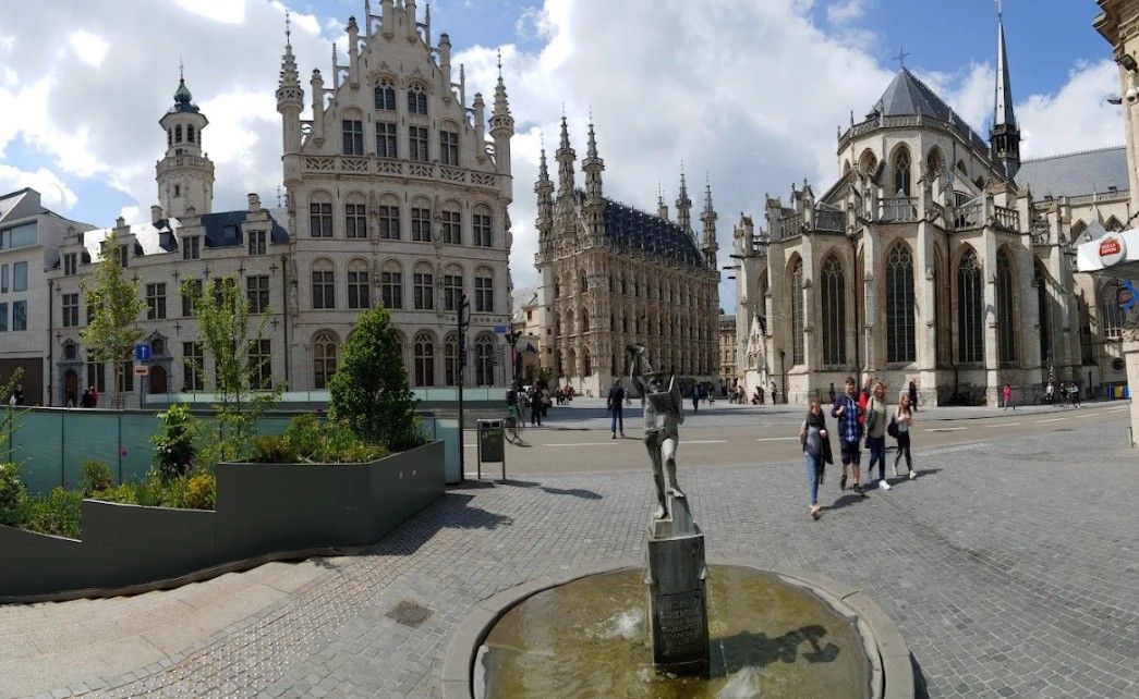 TOP GELEGEN COMMERCIEEL PAND RECTOR DE SOMERPLEIN foto 8