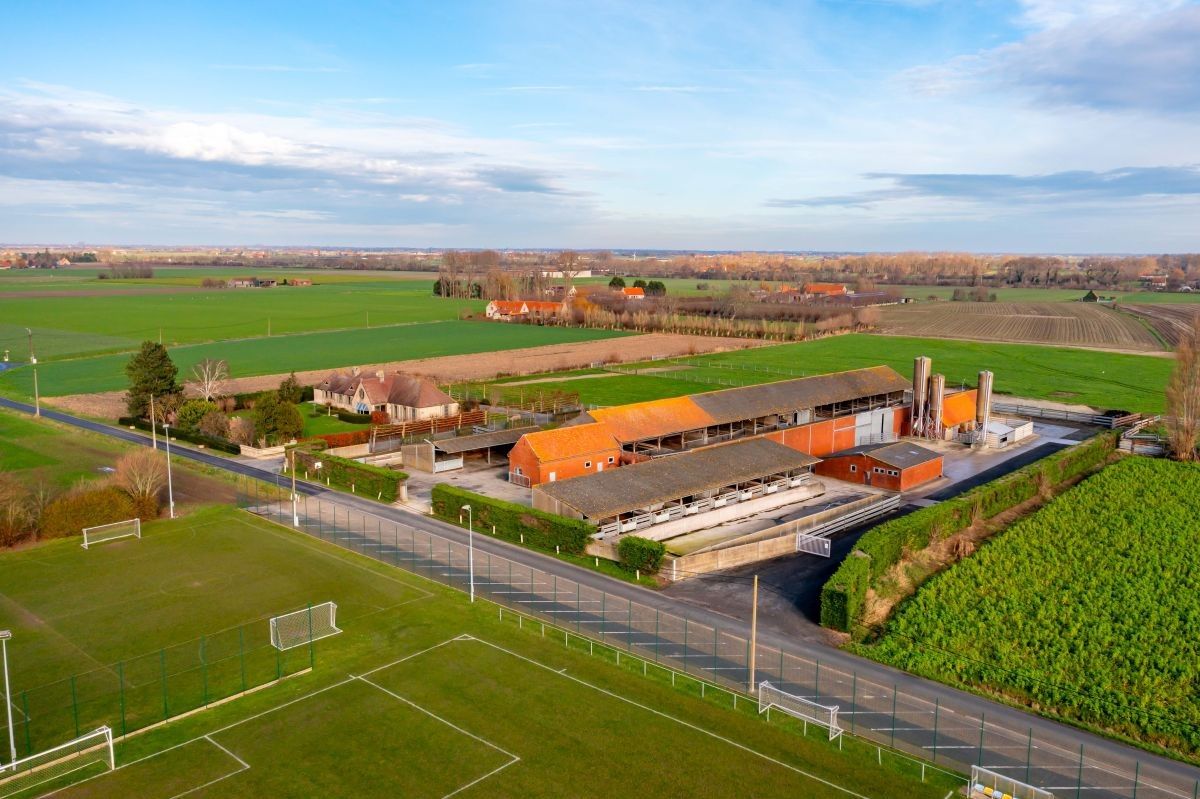 Vleesveebedrijf te koop op 5,85 ha te Alveringem foto 4