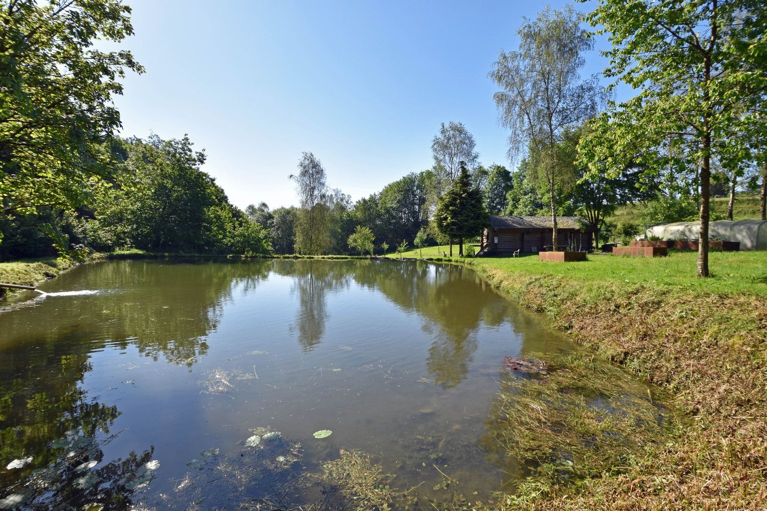 Ydillisch gelegen visvijer met 3 grote waterpartijen in de regio van Vresse-Sur-Semois! foto 3