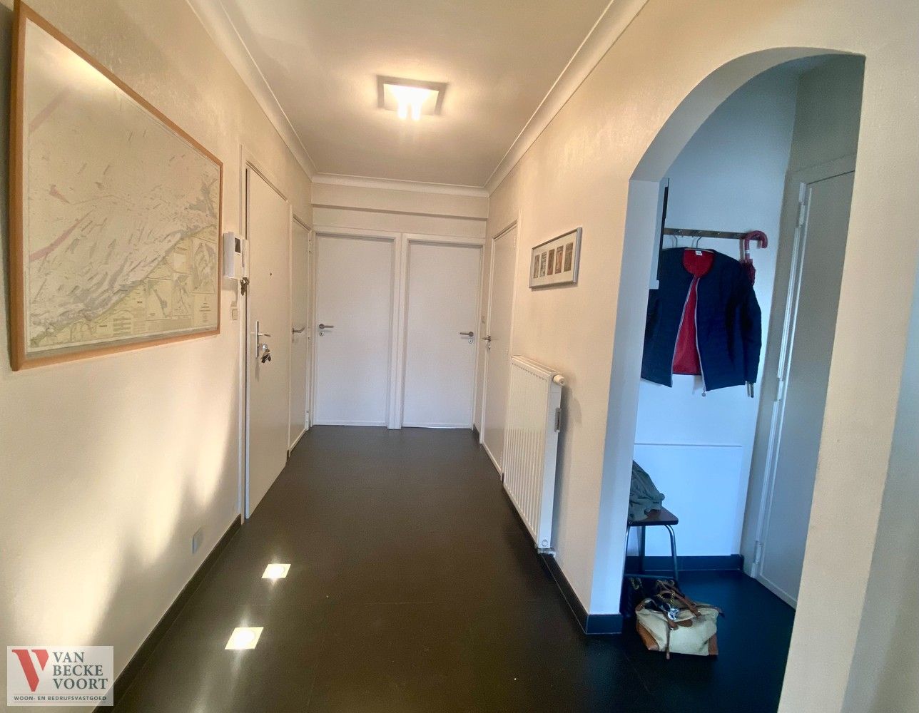 Gerenoveerd appartement met zicht op Petit-Paris foto 5