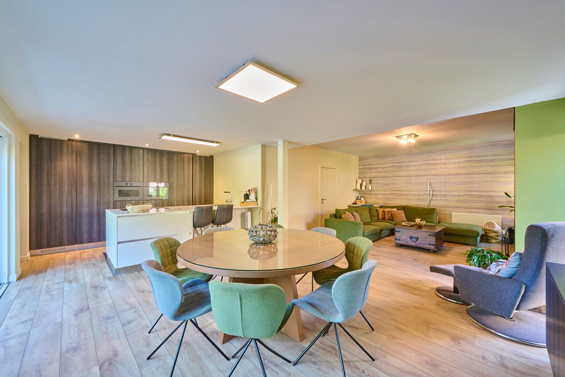 Exclusieve woning met handelzaak,appartement, zwembad en lift. foto 16