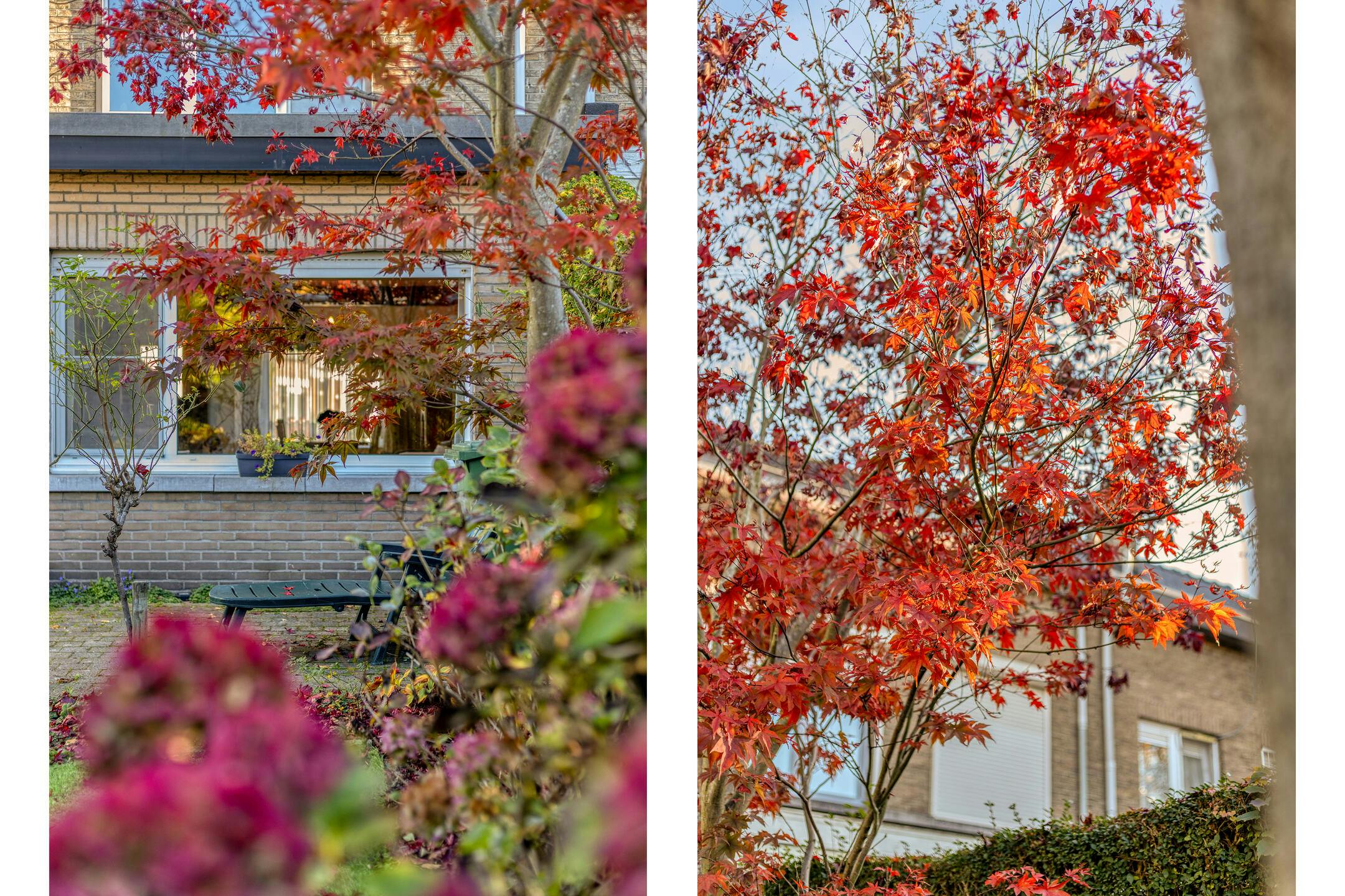 Huis met 4 slp en tuin vlakbij Te Boelaerpark! foto 15