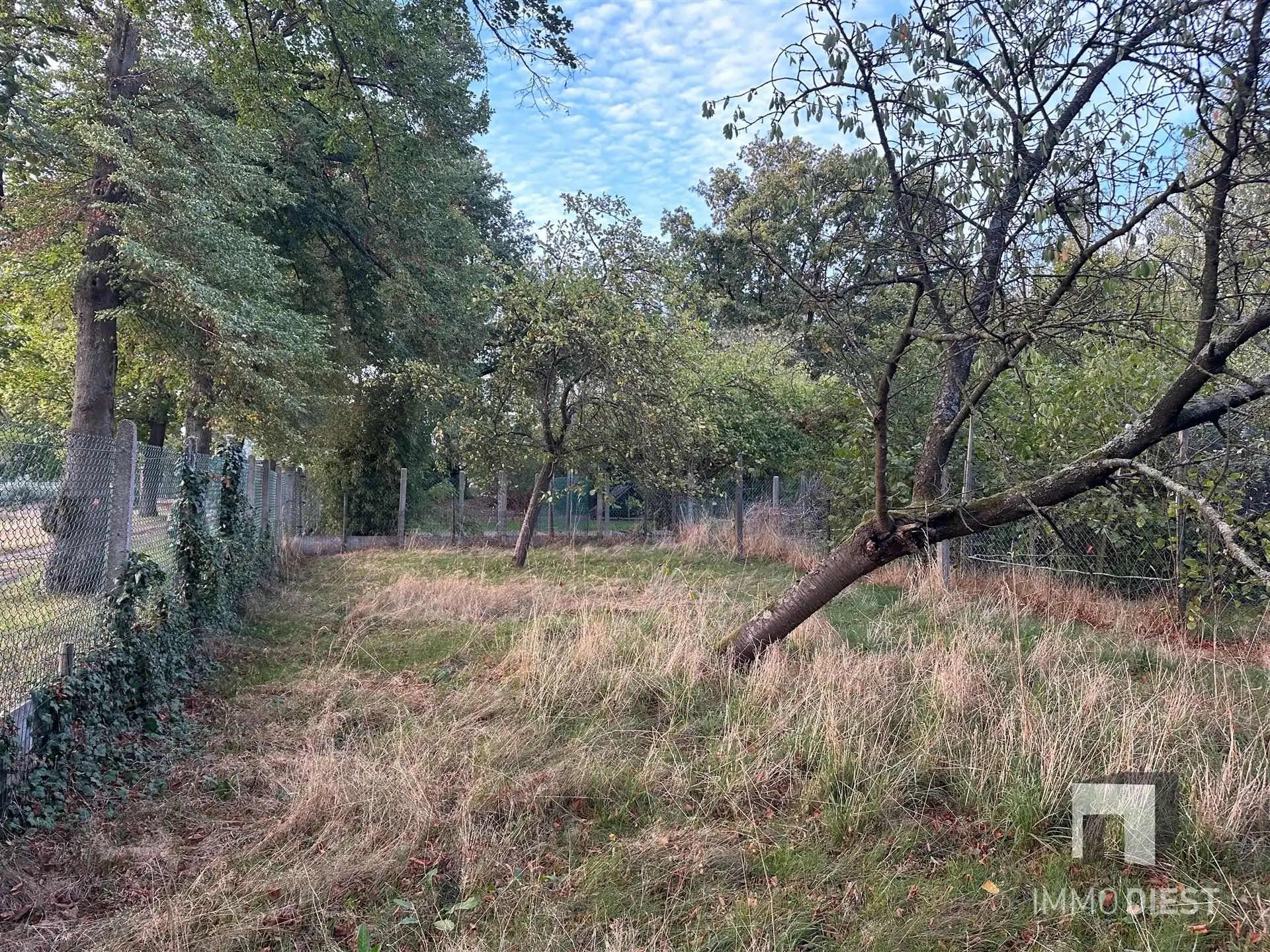 Landhuis met karakter en ruimte (min. 4 slpks) foto 4