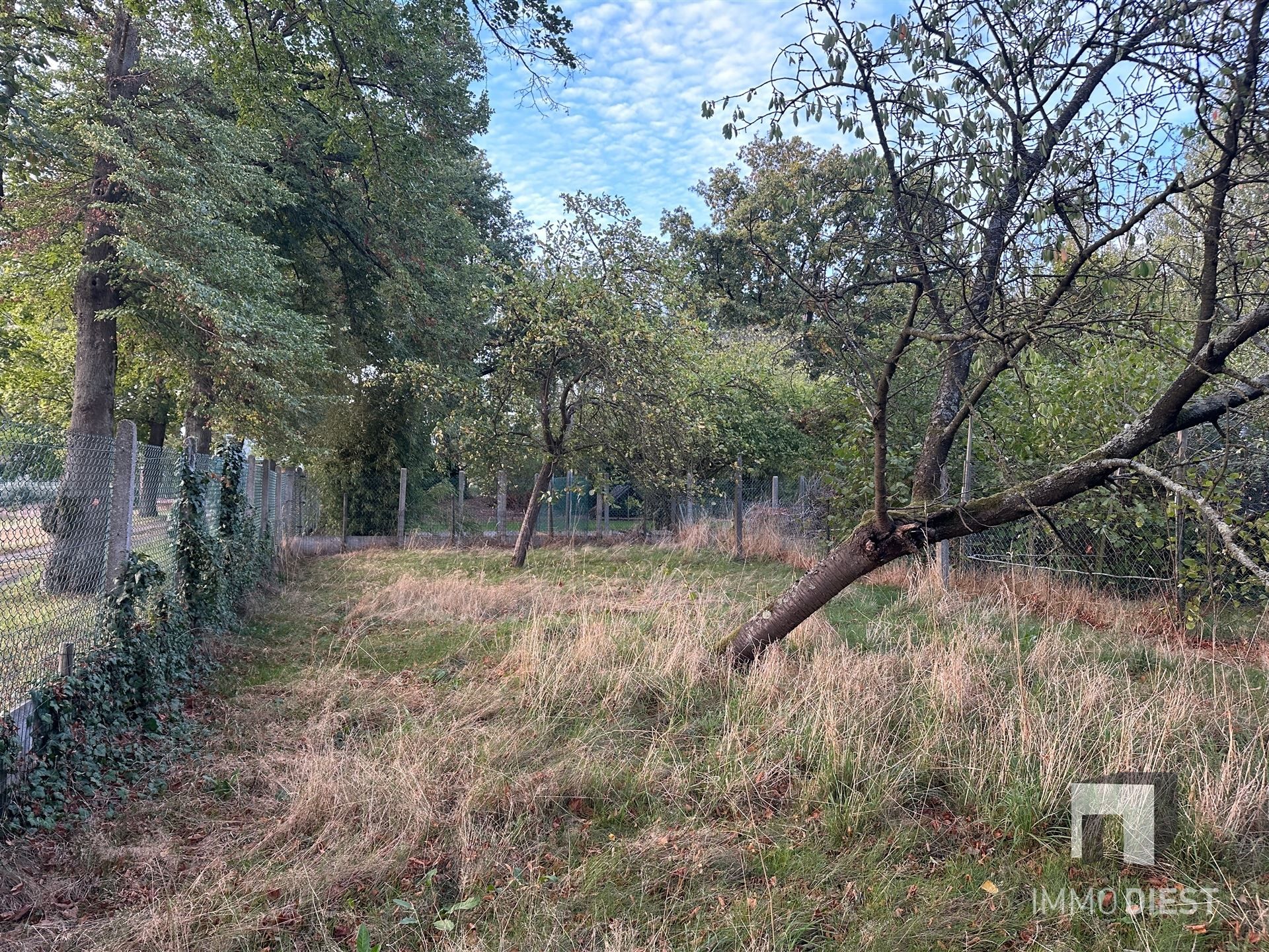 Landhuis met karakter en ruimte (min. 4 slpks) foto 4