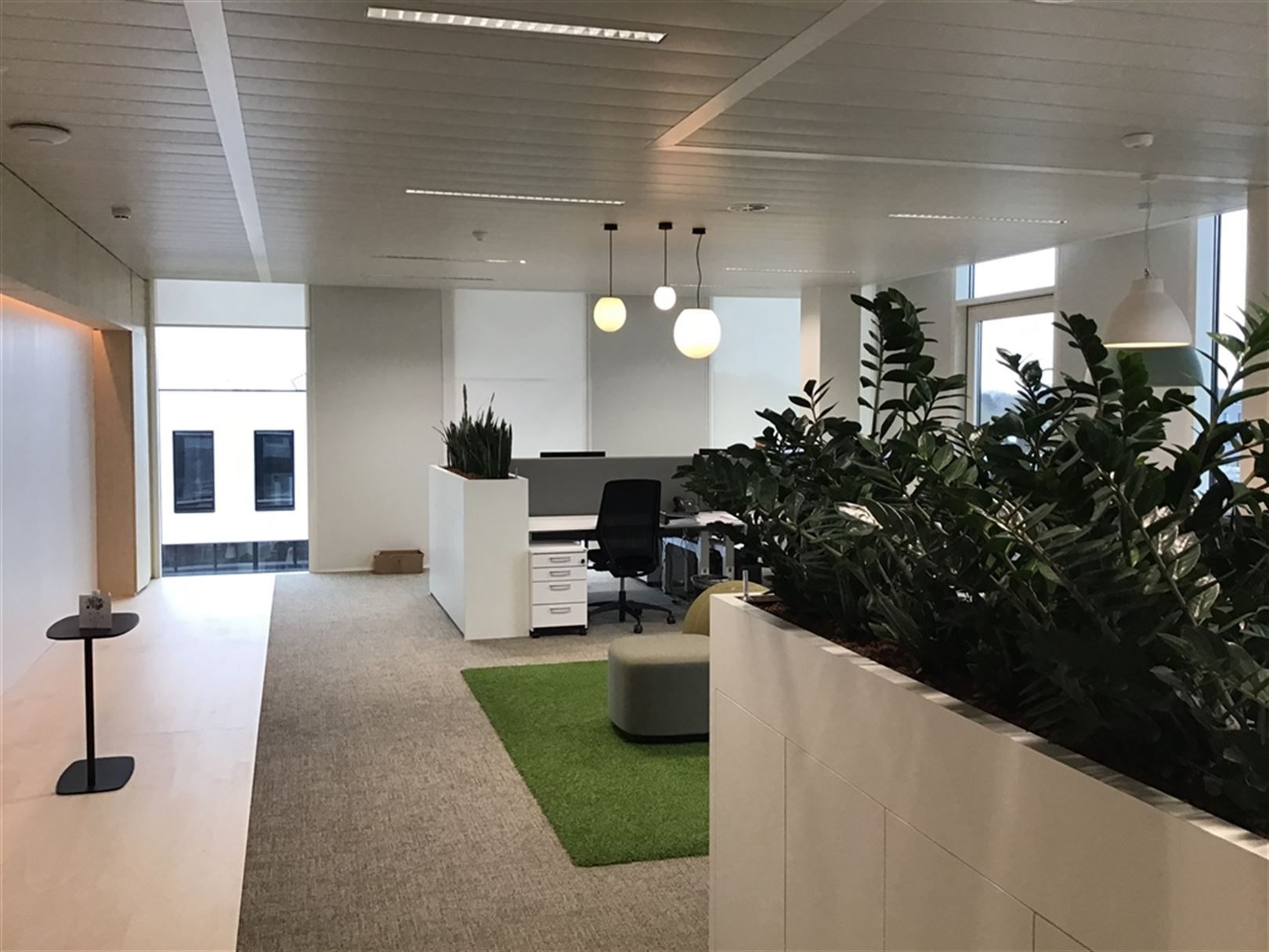 Gemeubelde kantoren in stijlvol gebouw langs The Loop foto 14