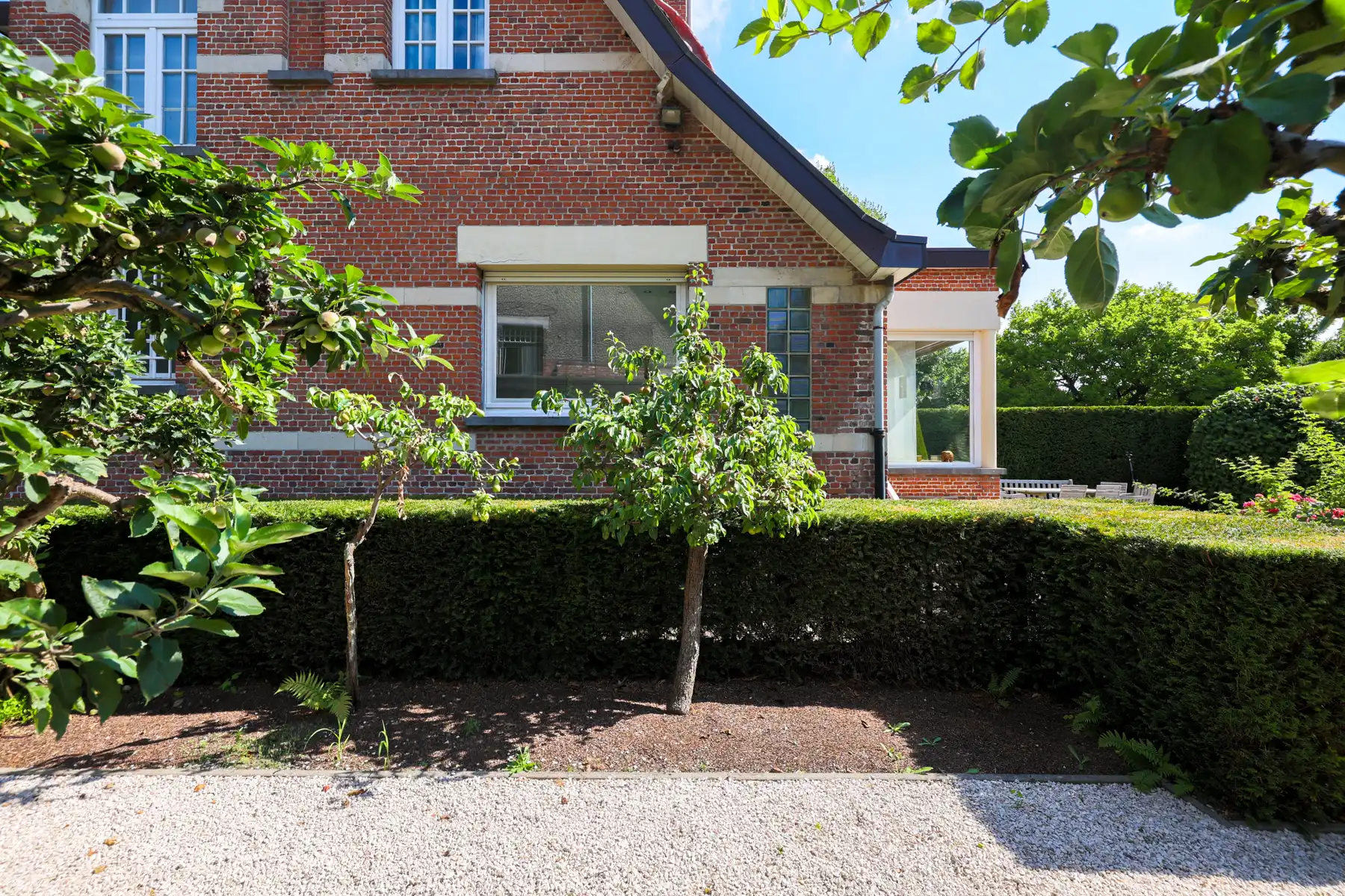 Cottage vibes & een tuin vol dromen foto 15