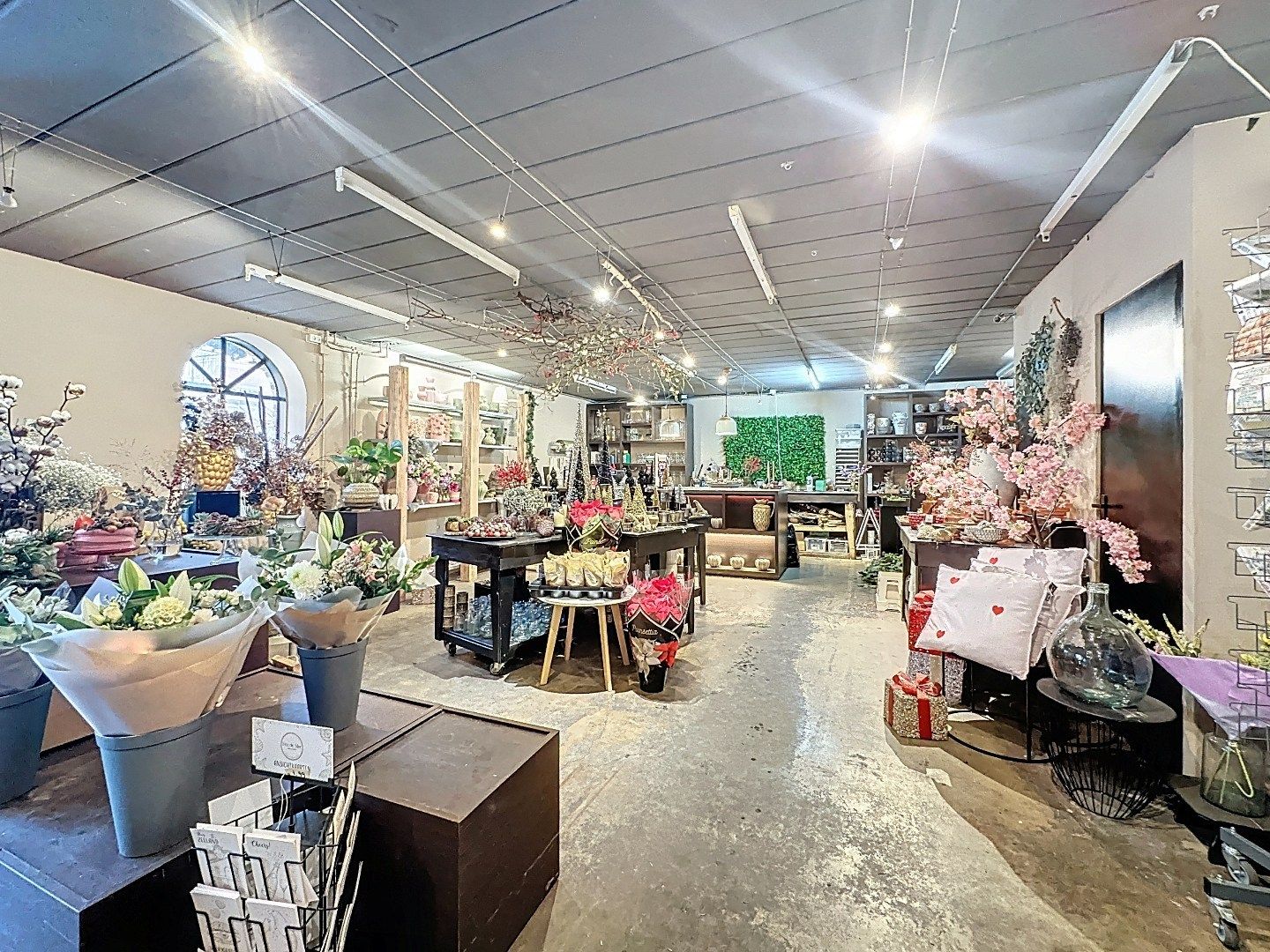 Unieke commerciële ruimte in de iconische molen “De Brak” – Sluis foto 6