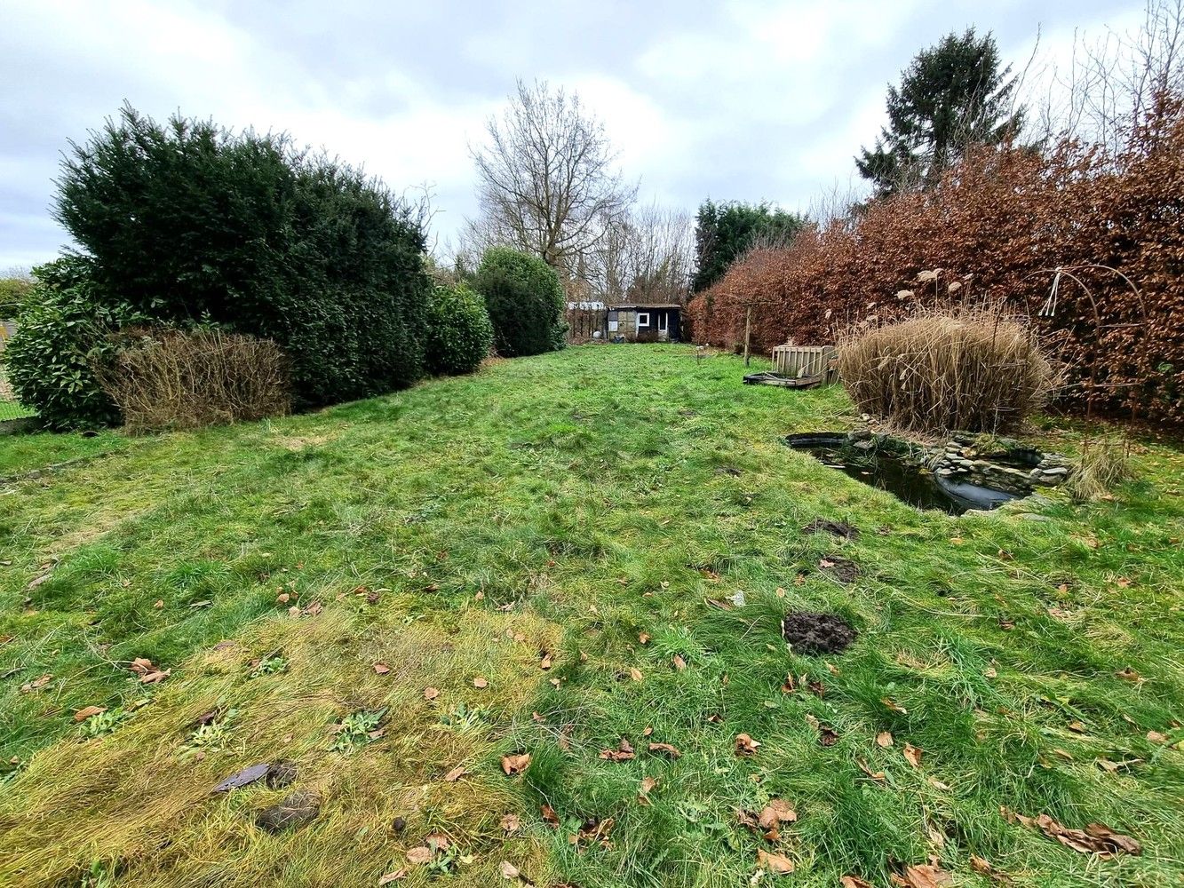 Zeer ruime gezinswoning, 5 ruime slaapkamers, mooie tuin en zeer rustig gelegen pal in de dorpskern Schriek foto 2