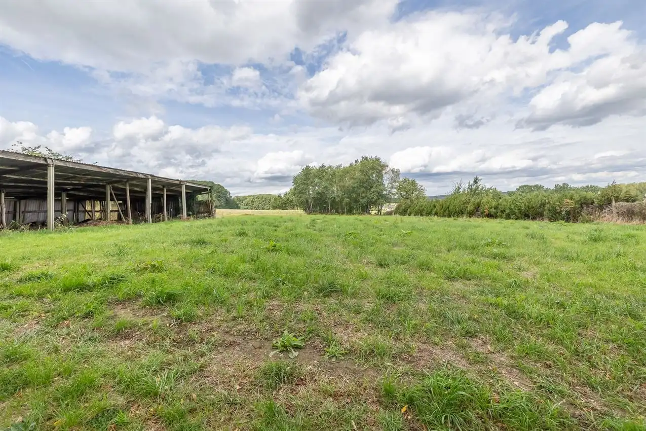 Te renoveren boerderij met 2 weides (45a en 21a) en ruime hangaar foto 24