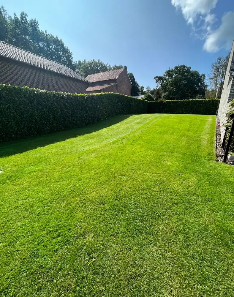 🌿 Bouwgrond met zwembad & poolhouse  in Zutendaal 🌿 foto 7