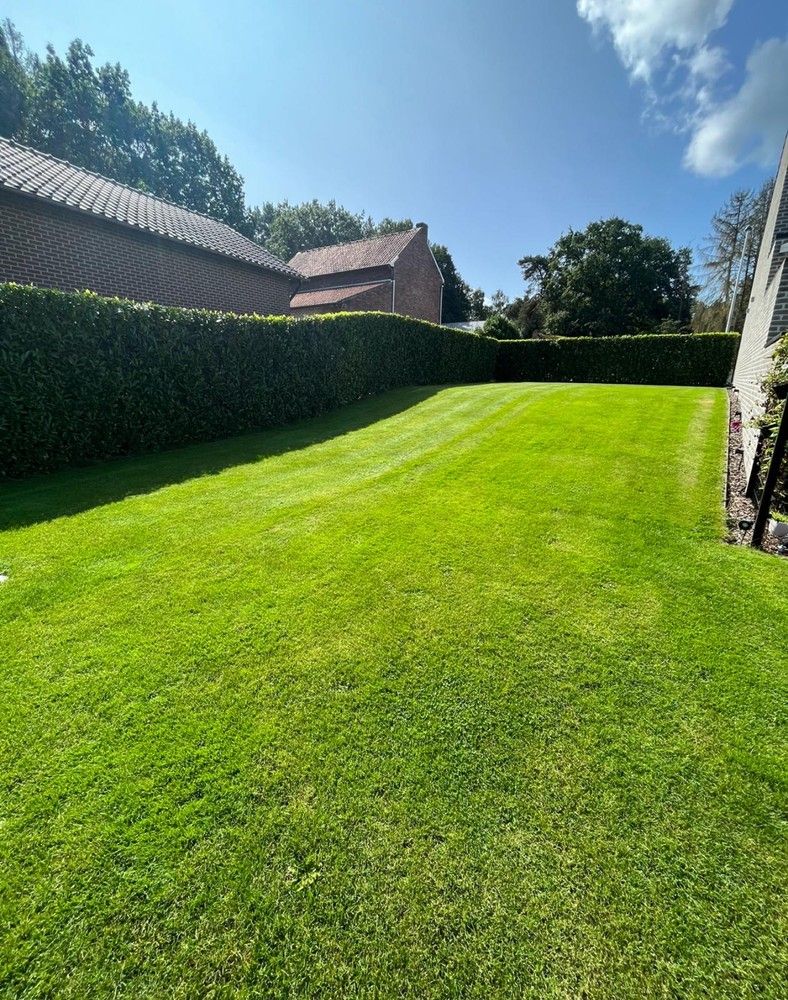 🌿 Bouwgrond met zwembad & poolhouse  in Zutendaal 🌿 foto 6