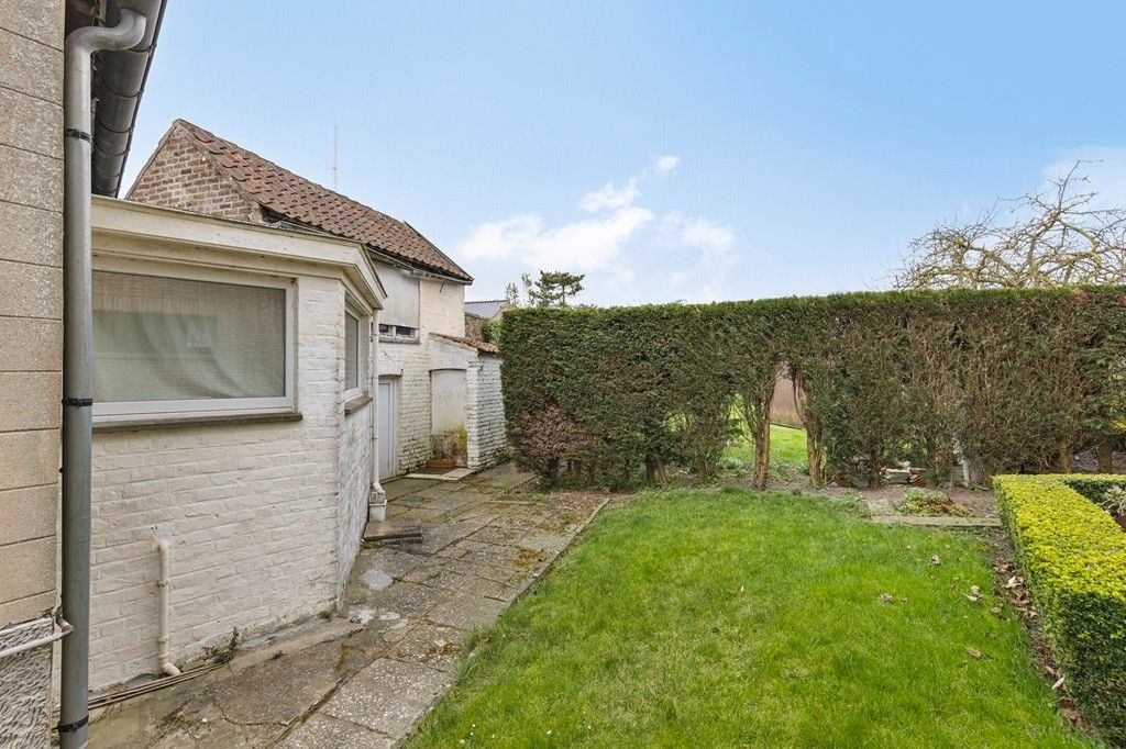 BUITENKANS! ALVERINGEM: Te renoveren/te slopen woonhuis "echt niet ver van de platse" met zongerichte tuin op 478m² grondoppervlakte. foto 14