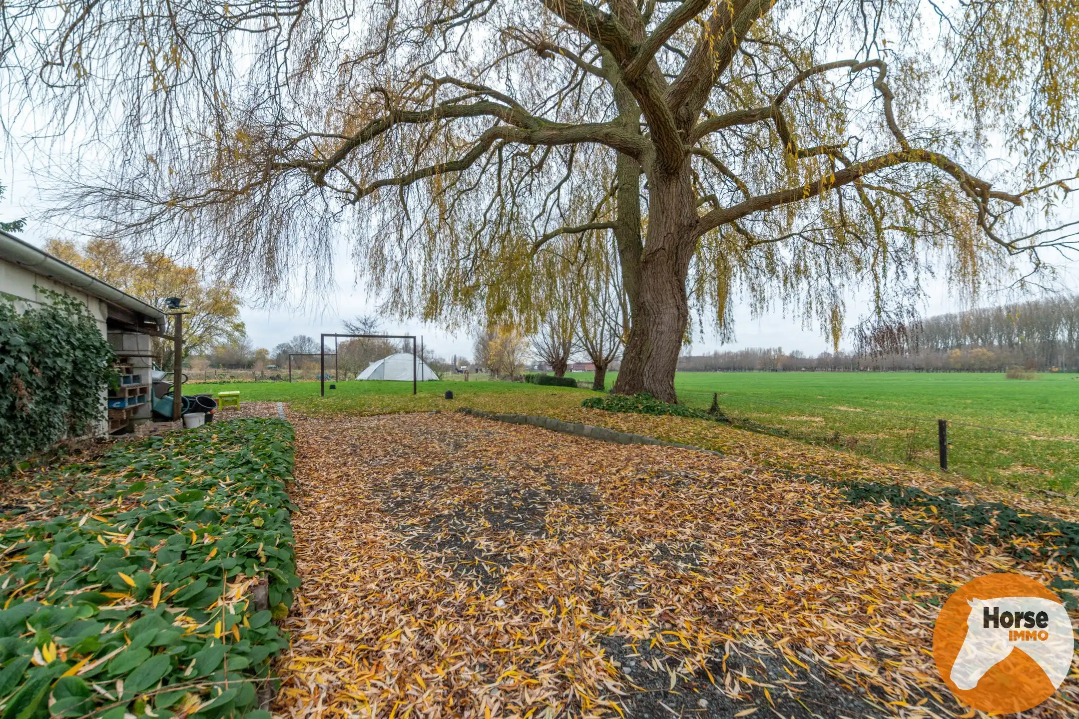 SCHELLE - Centraal gelegen ruime woning met loods en weides  foto 9