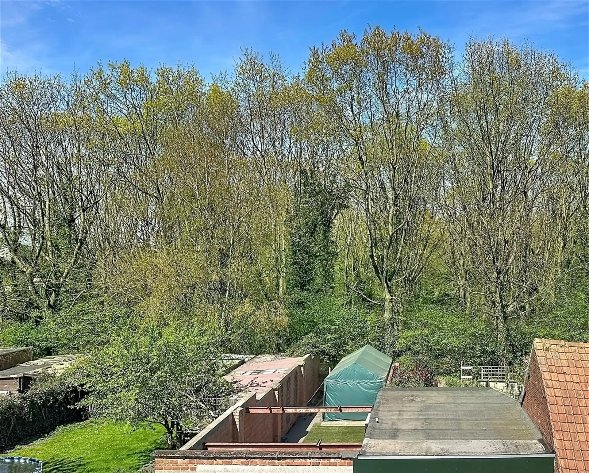 Gezinswoning met praktijk en 5 slaapkamers in Belsele foto 16
