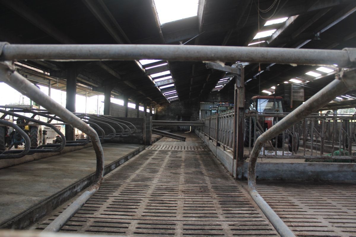 Hoeve met ruime stallen te koop te Zottegem op 4,68 ha foto 12