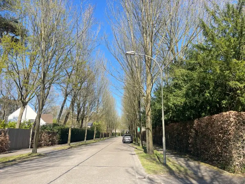 Villabouwgrond te koop – 1.967 m² – Hoge Kaart (links nr. 10) foto 2