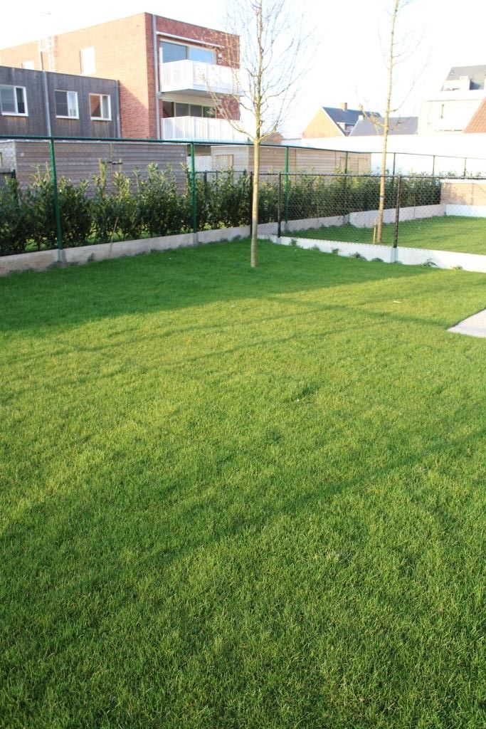 Zeer ruim en energiezuinig appartement met autostaanplaats foto 19